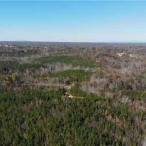 Photo #11 of Morehead, Reidsville, NC 100.4 acres