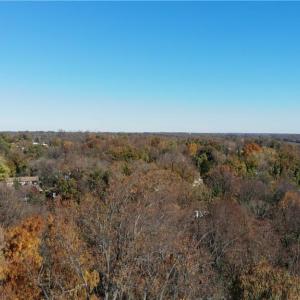 Photo #13 of Morehead, Reidsville, NC 100.4 acres