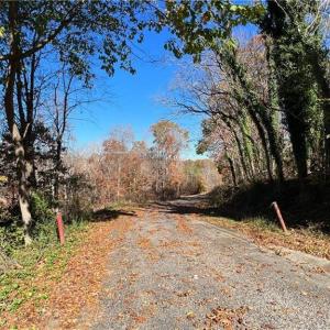 Photo #26 of Morehead, Reidsville, NC 100.4 acres