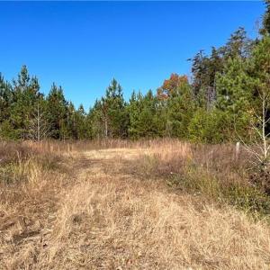 Photo #22 of Morehead, Reidsville, NC 100.4 acres