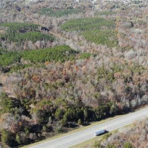 Photo #7 of Morehead, Reidsville, NC 100.4 acres