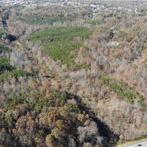 Photo #3 of Morehead, Reidsville, NC 100.4 acres