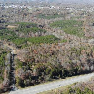 Photo #8 of Morehead, Reidsville, NC 100.4 acres