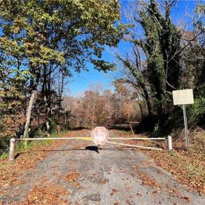 Photo #25 of Morehead, Reidsville, NC 100.4 acres