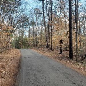 Scenic road through the hardwoods