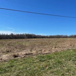 Photo #5 of 5426 Turner Smith, Browns Summit, NC 30.9 acres