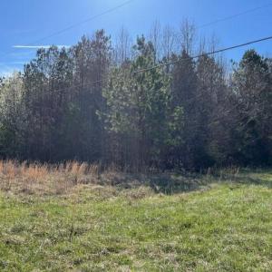 Photo #4 of 5426 Turner Smith, Browns Summit, NC 30.9 acres