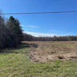 Photo #3 of 5426 Turner Smith, Browns Summit, NC 30.9 acres