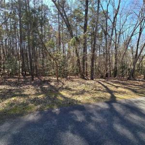 Photo #6 of Lake Shore, New London, NC 0.8 acres