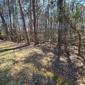 Photo #3 of Lake Shore, New London, NC 0.8 acres