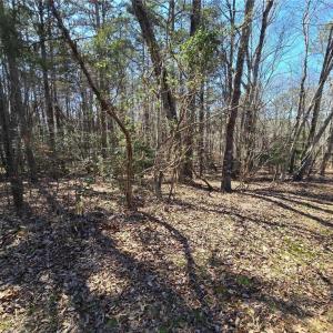 Photo #4 of Lake Shore, New London, NC 0.8 acres