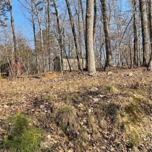 Photo #2 of 109 Pine, New London, NC 0.4 acres