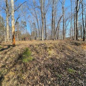 Photo #3 of 109 Pine, New London, NC 0.4 acres