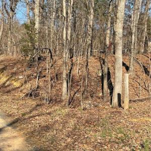 Photo #1 of 109 Pine, New London, NC 0.4 acres