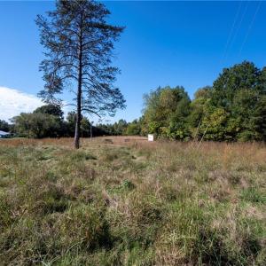 Photo #46 of 465/01 Turner, Mayodan, NC 86.1 acres