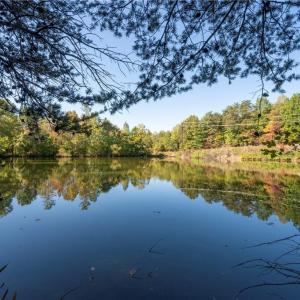 Photo #41 of 465/01 Turner, Mayodan, NC 86.1 acres