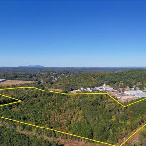 Photo #15 of 465/01 Turner, Mayodan, NC 86.1 acres
