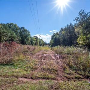 Photo #19 of 465/01 Turner, Mayodan, NC 86.1 acres