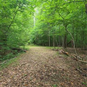 Photo #6 of 450 Crossing Creek, Belews Creek, NC 3.5 acres