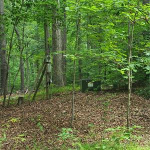 Photo #7 of 450 Crossing Creek, Belews Creek, NC 3.5 acres