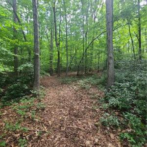 Photo #9 of 450 Crossing Creek, Belews Creek, NC 3.5 acres