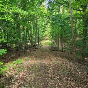 Photo #10 of 450 Crossing Creek, Belews Creek, NC 3.5 acres