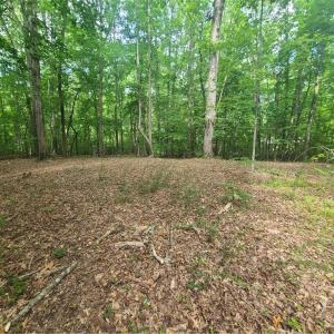 Photo #8 of 450 Crossing Creek, Belews Creek, NC 3.5 acres