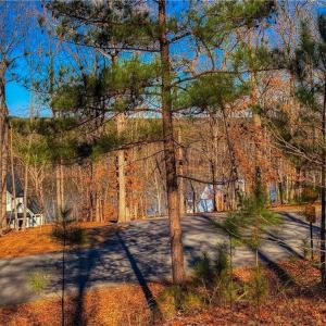 Photo #5 of 2175 Rocky Cove, Denton, NC 3.3 acres