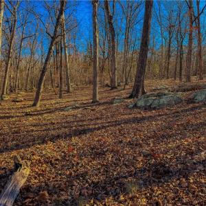 Photo #11 of 2175 Rocky Cove, Denton, NC 3.3 acres