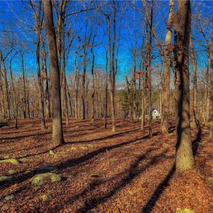 Photo #8 of 2175 Rocky Cove, Denton, NC 3.3 acres