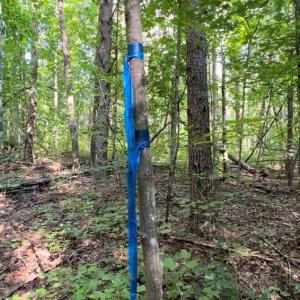 Photo #6 of TBD-1 Peter Mabe, Danbury, NC 10.0 acres