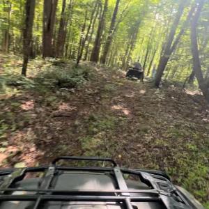 Photo #7 of TBD-1 Peter Mabe, Danbury, NC 10.0 acres