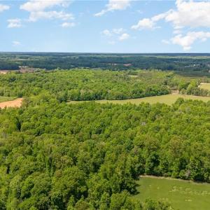 Photo #6 of Albright, Siler City, NC 72.7 acres