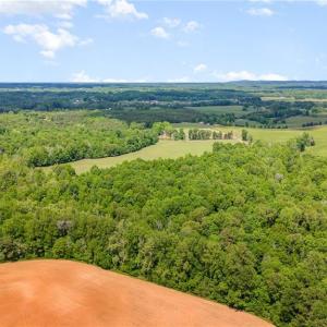 Photo #7 of Albright, Siler City, NC 72.7 acres