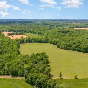Photo #5 of Albright, Siler City, NC 72.7 acres