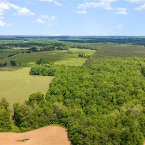 Photo #9 of Albright, Siler City, NC 72.7 acres