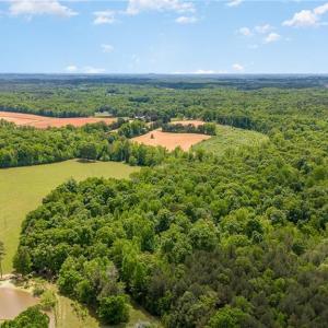 Photo #11 of Albright, Siler City, NC 72.7 acres