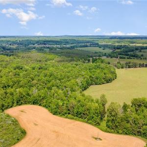 Photo #8 of Albright, Siler City, NC 72.7 acres