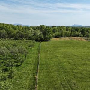 Photo #3 of Joyce Acres, Westfield, NC 50.5 acres