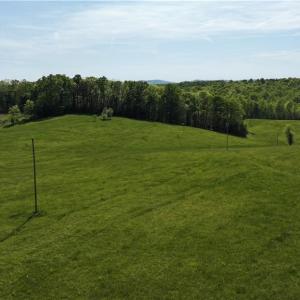 Photo #8 of Joyce Acres, Westfield, NC 50.5 acres