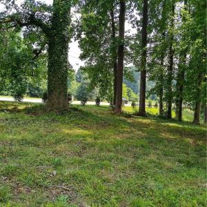 Photo #12 of 1807 New Garden, Greensboro, NC 6.2 acres