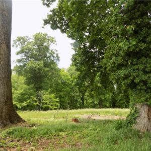 Photo #5 of 1807 New Garden, Greensboro, NC 6.2 acres