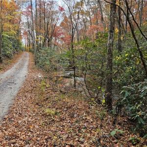 Photo #23 of 125 Ahart Ridge, Ararat, VA 163.0 acres