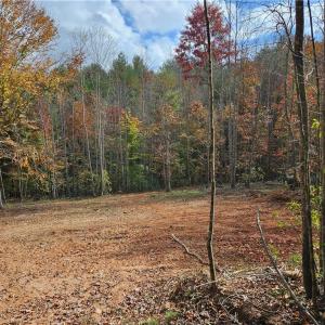 Photo #17 of 125 Ahart Ridge, Ararat, VA 163.0 acres