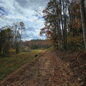 Photo #16 of 125 Ahart Ridge, Ararat, VA 163.0 acres