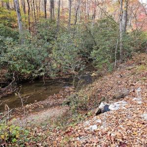 Photo #12 of 125 Ahart Ridge, Ararat, VA 163.0 acres