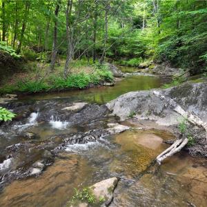Photo #1 of 125 Ahart Ridge, Ararat, VA 163.0 acres