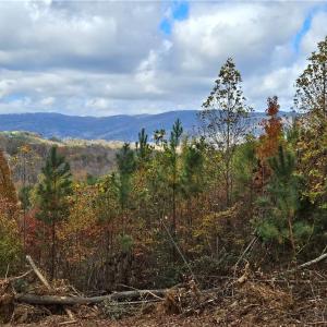 Photo #20 of 125 Ahart Ridge, Ararat, VA 163.0 acres
