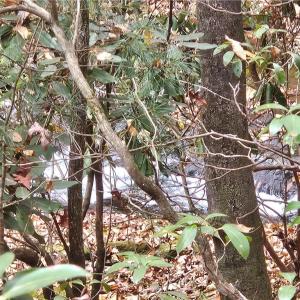 Photo #24 of 125 Ahart Ridge, Ararat, VA 163.0 acres