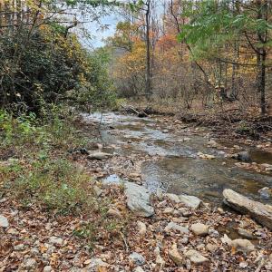 Photo #14 of 125 Ahart Ridge, Ararat, VA 163.0 acres